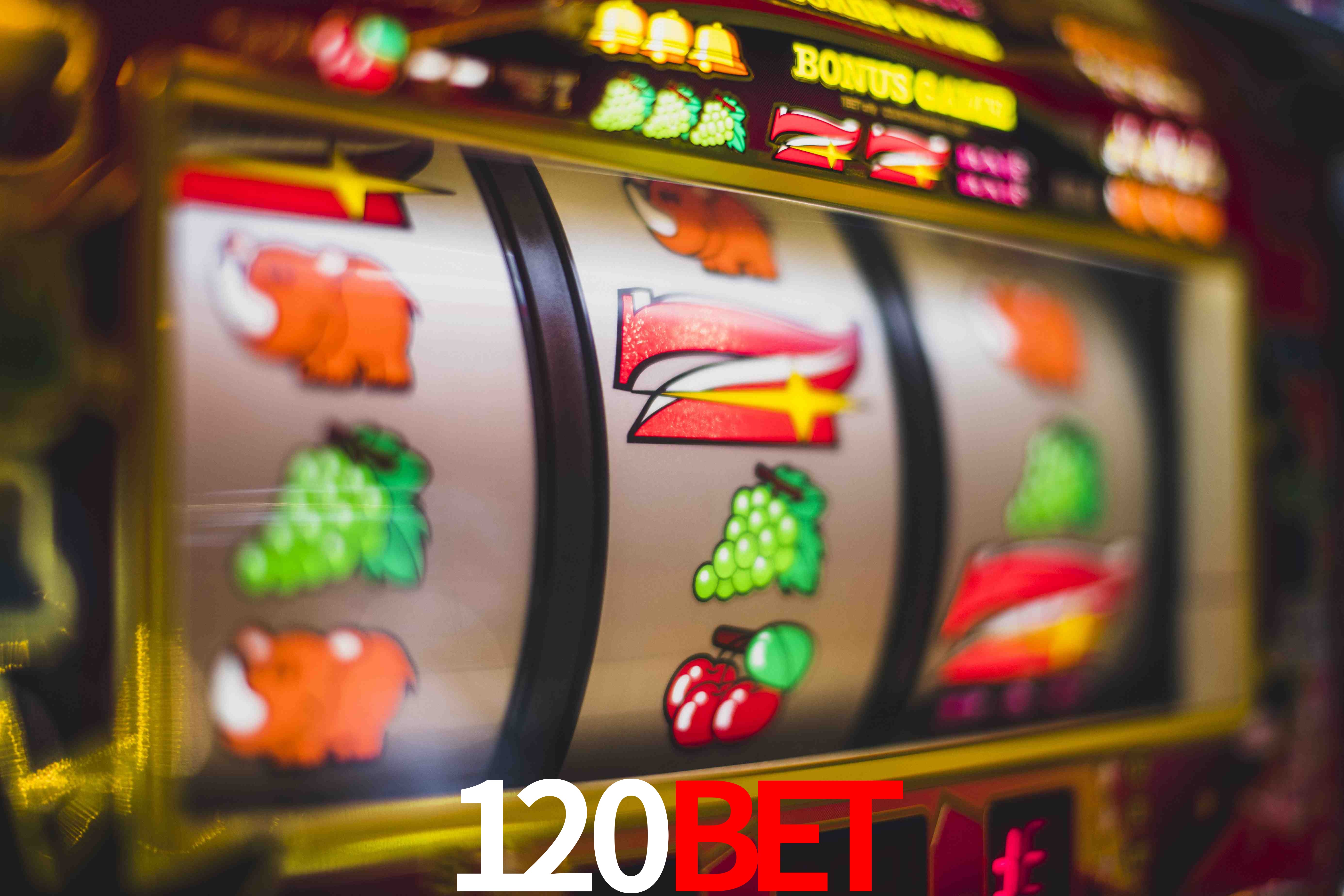 VIP Casino 120bet